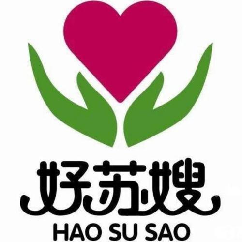 好苏嫂家政的月嫂服务有哪些专业培训？