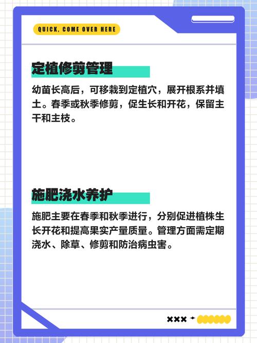 种植花椒树国家有哪些补贴政策？