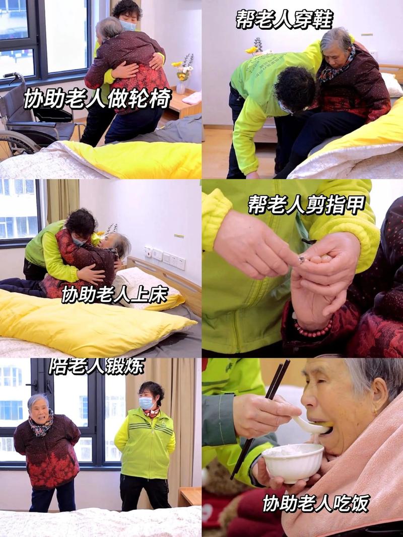 家政妇调教全集如何获取？