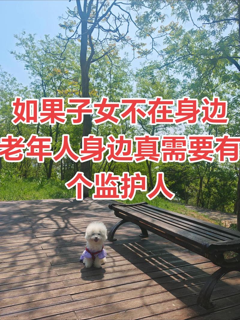 大连家政服务哪家好？如何选择靠谱保洁？