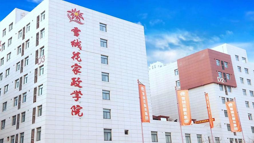 雪绒花家政服务可靠吗？收费标准如何？