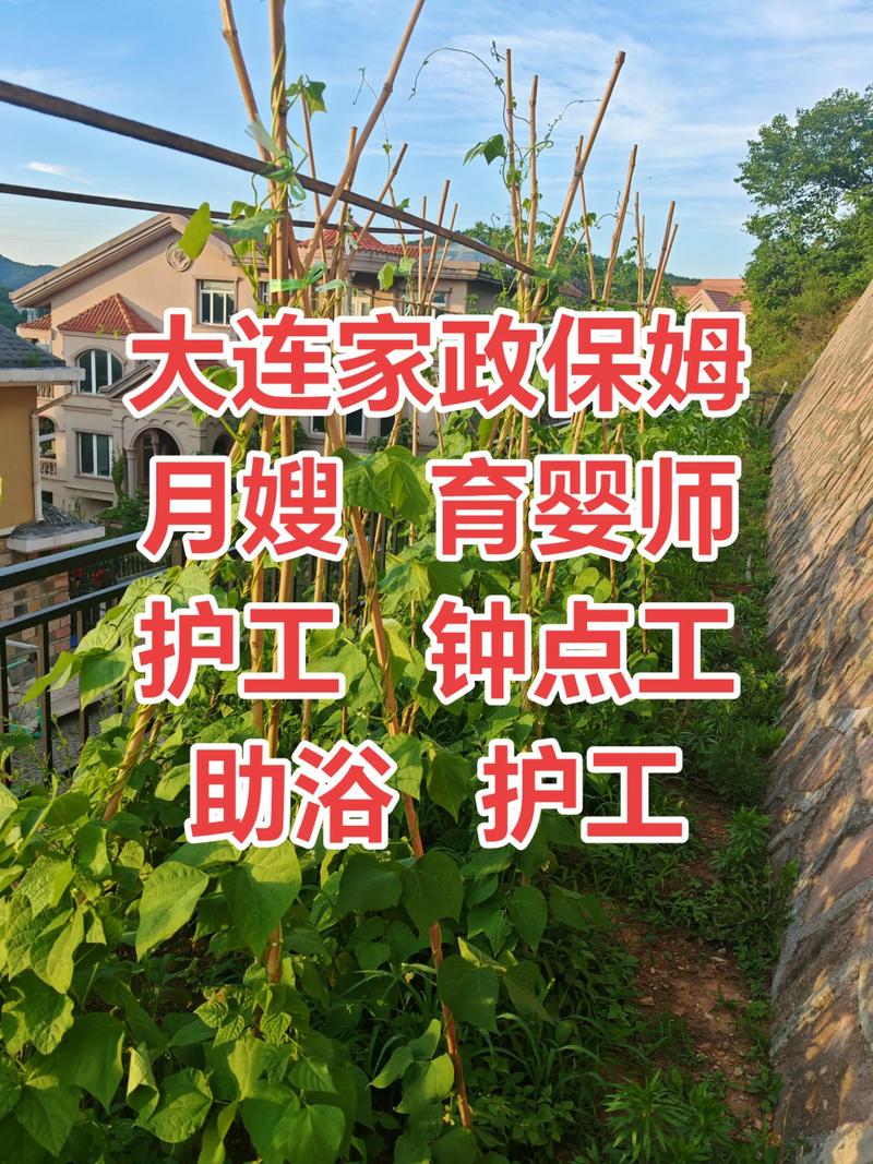 黄马褂家政总部在哪里？如何联系？