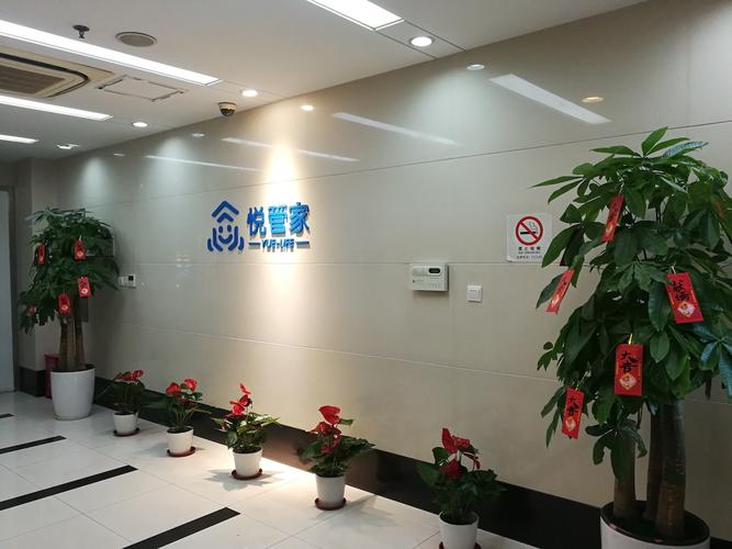 西安碑林区家政哪家好？如何选择靠谱服务？