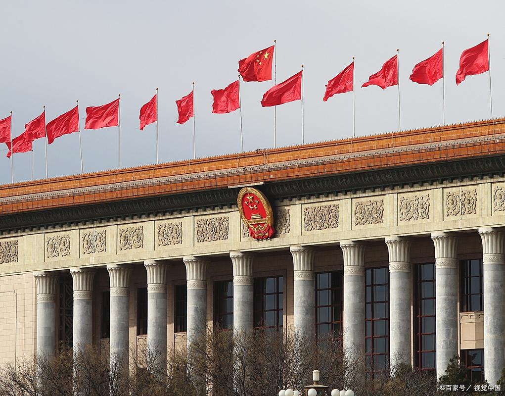 国家政府如何优化职能以提升公共服务效率？