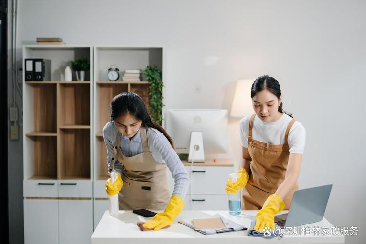 龙岗区家政服务哪家好?如何选择靠谱的?