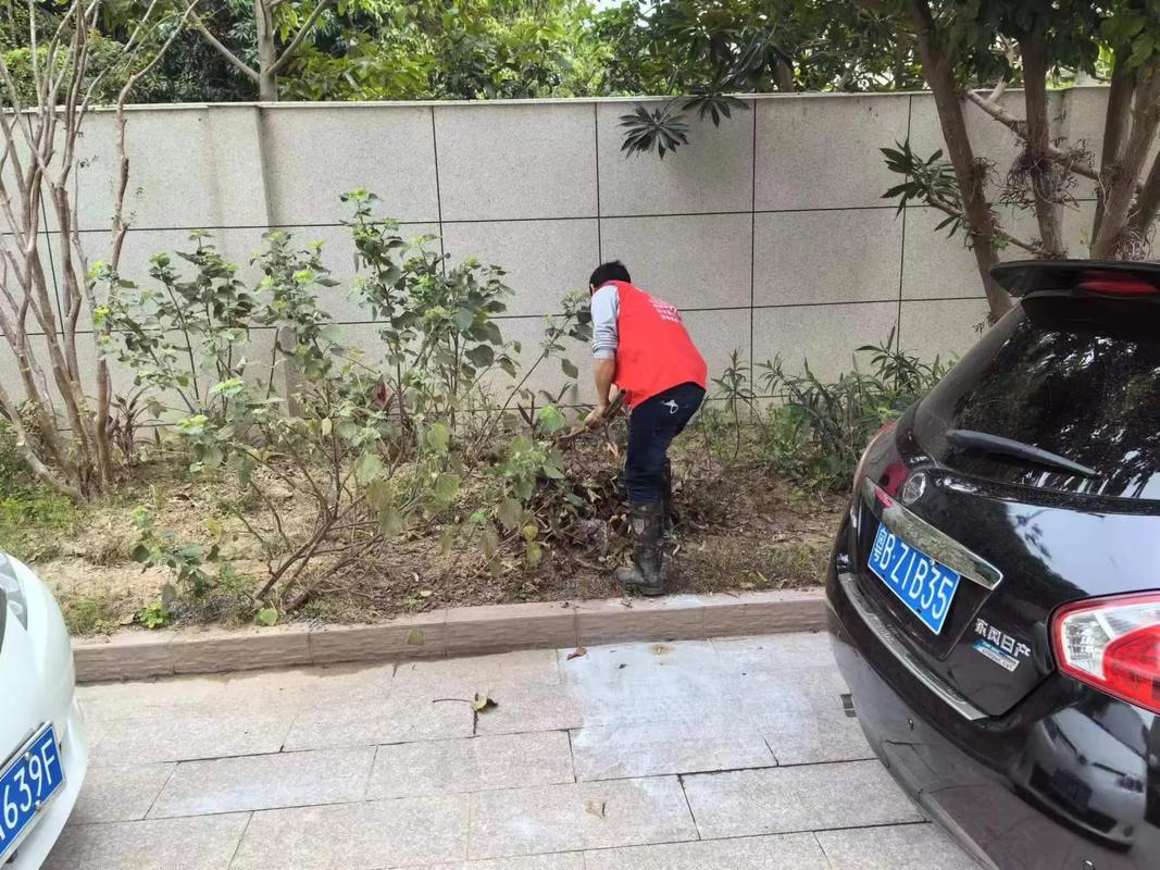 郑州家政公司哪家好？口碑排名前十推荐