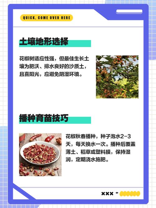 太原家政网哪家好？如何选到靠谱服务？