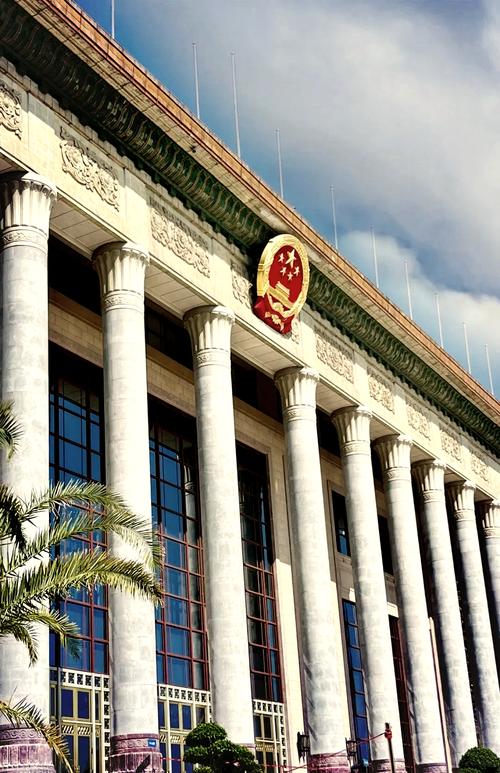 国家政府如何优化职能以提升公共服务效率？