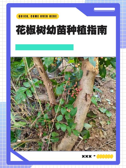 广州家政服务哪家好？如何选择靠谱保洁公司？