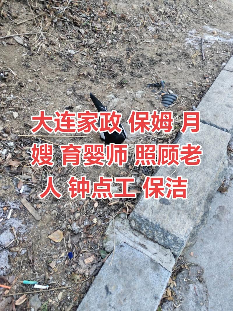 玄武区家政哪家口碑好？怎么选才靠谱？