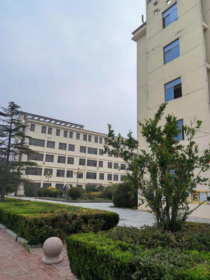 上海家政服务哪家好？如何挑选靠谱的？