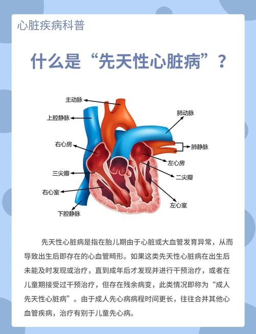 家政中介费一般收多少？怎么算才合理？