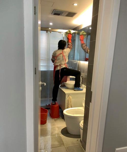 个体家政服务经营范围包括哪些项目？