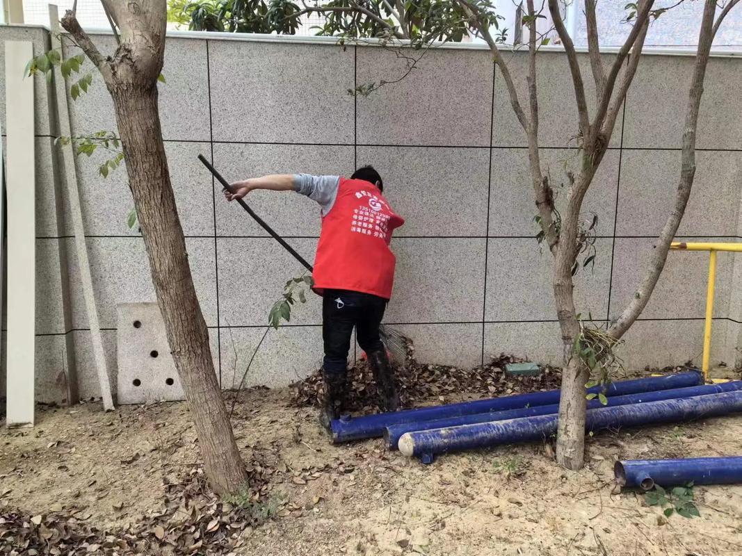 《奇怪的家政妇》剧情解析：她到底藏着什么秘密？