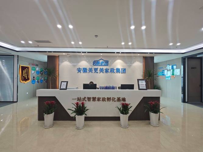 “家政妇调教19：如何高效培训新手保姆掌握家务技能？”