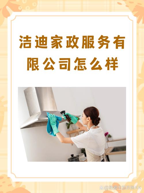 家政妇全集在线看，哪里能调教到专业服务？